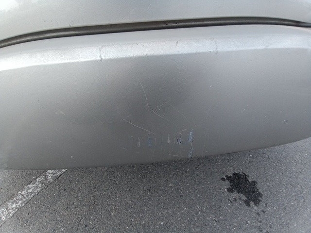 289.jpg