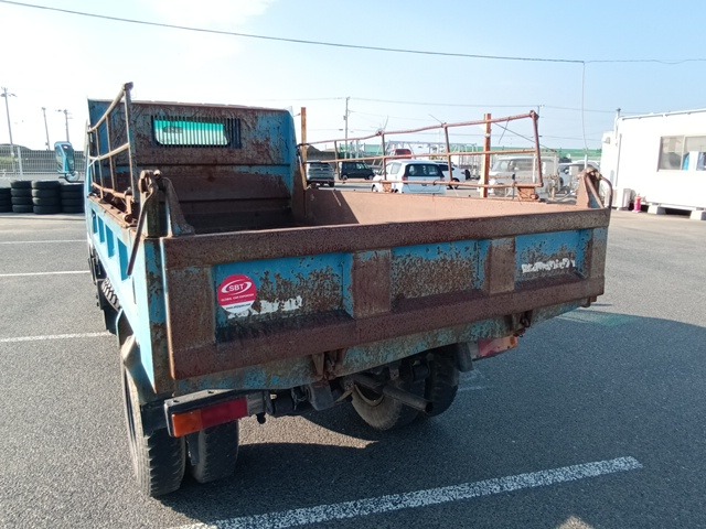 295.jpg