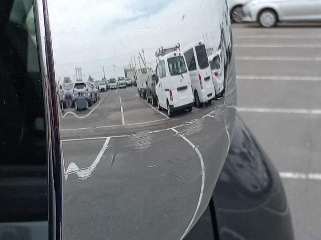 282.jpg