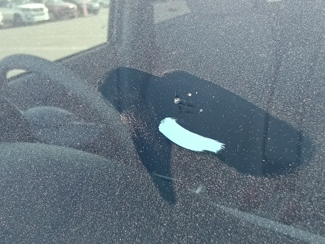 282.jpg