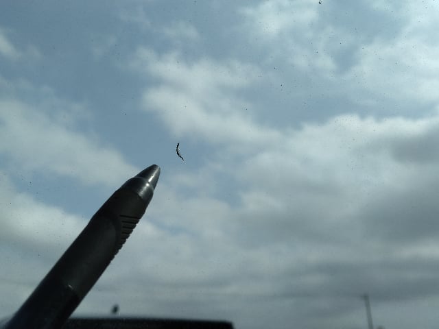 283.jpg