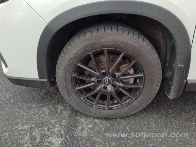 33.jpg