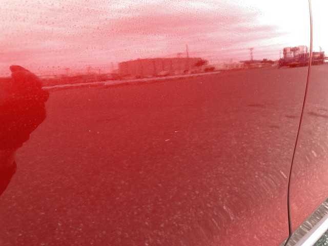 284.jpg