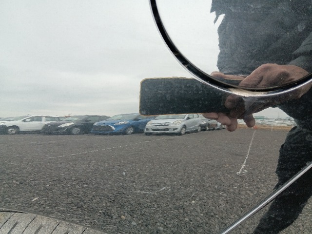 283.jpg