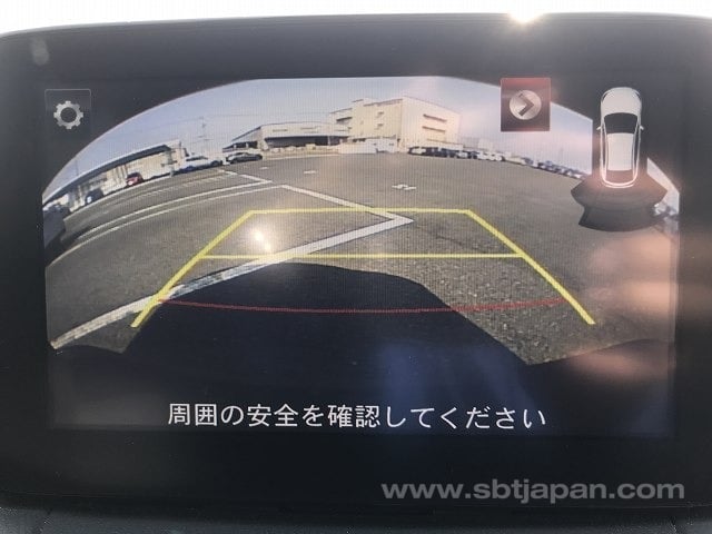 17.jpg