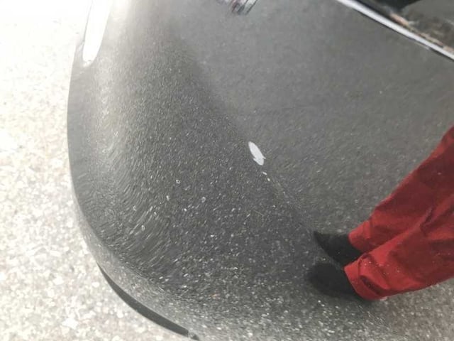 286.jpg