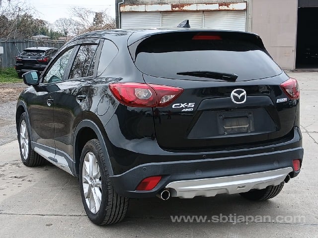 4.jpg