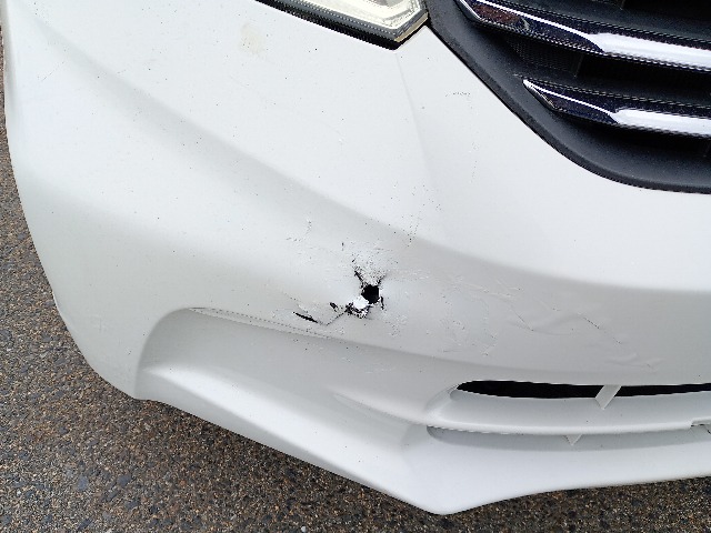 280.jpg