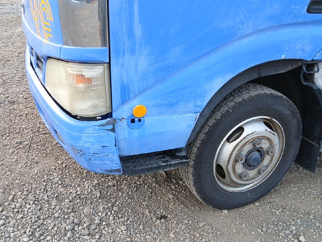 291.jpg