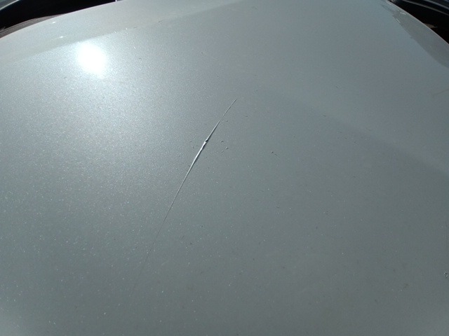285.jpg