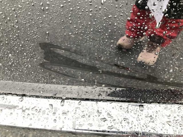 285.jpg
