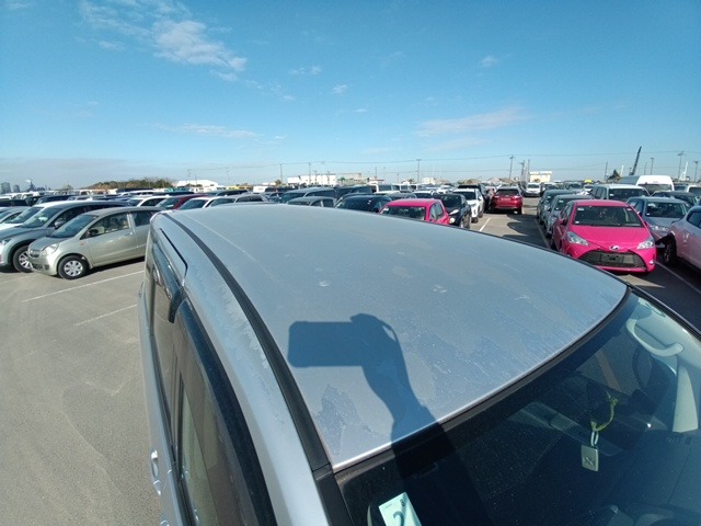 287.jpg