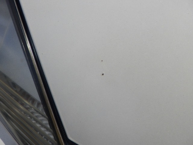 280.jpg