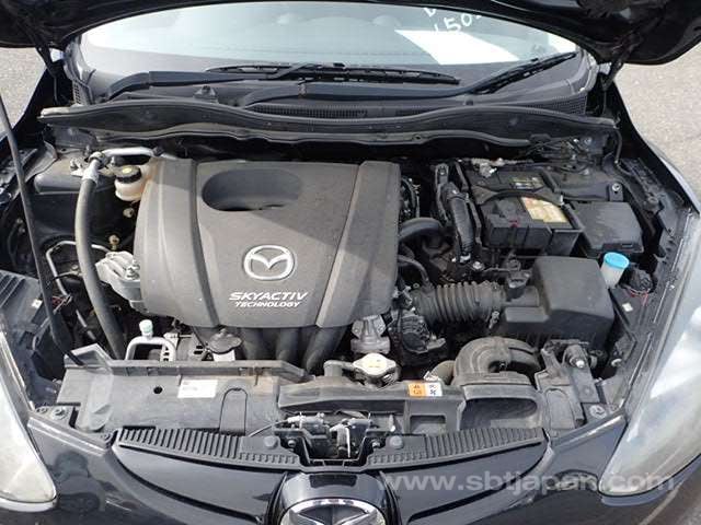 7.jpg