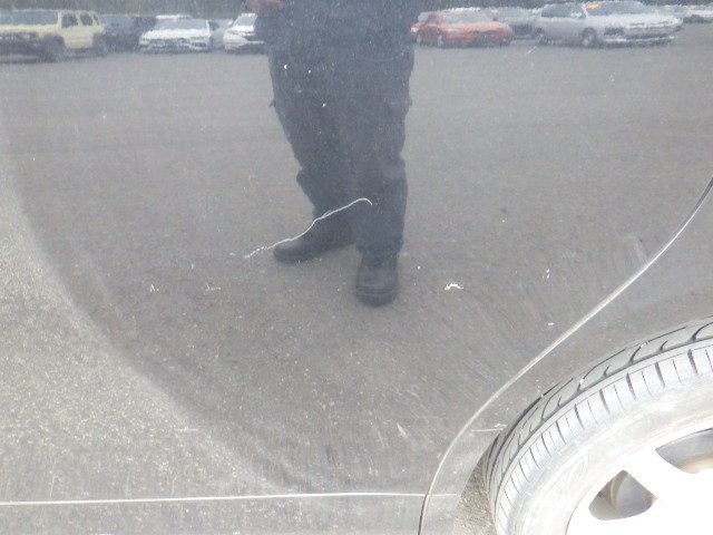 293.jpg