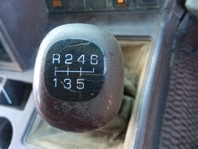 318.jpg