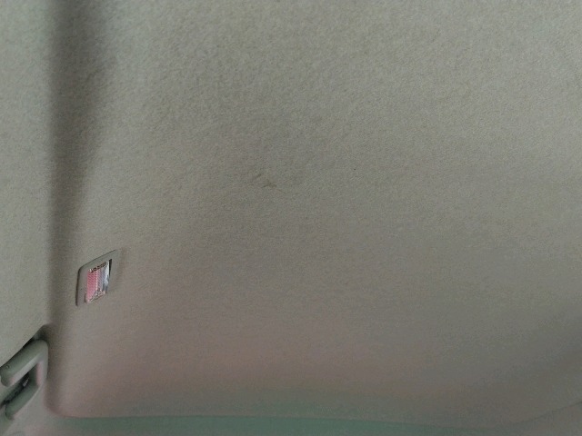 288.jpg