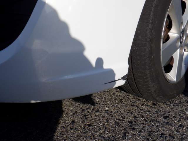 282.jpg