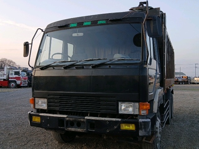 295.jpg