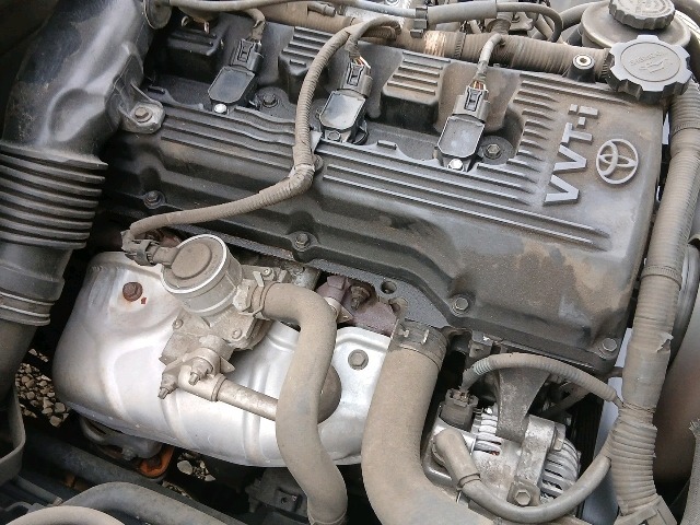 295.jpg