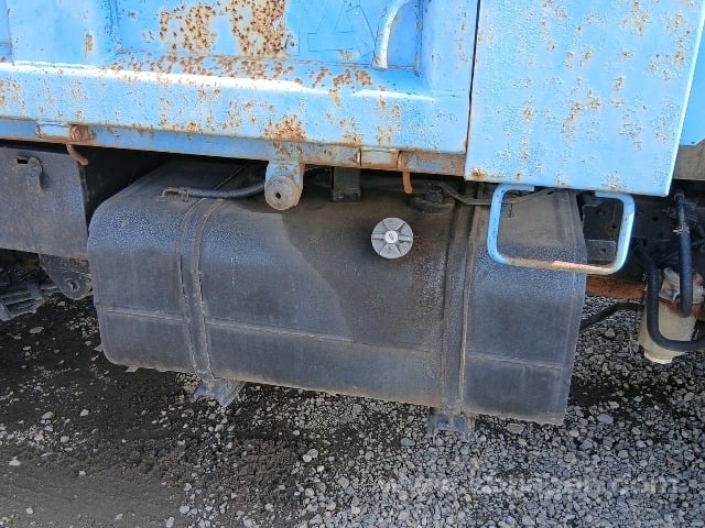 43.jpg