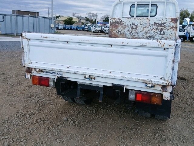 295.jpg