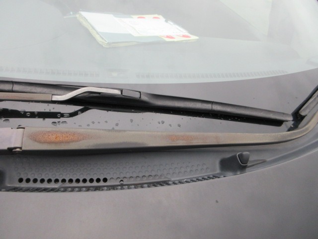 291.jpg