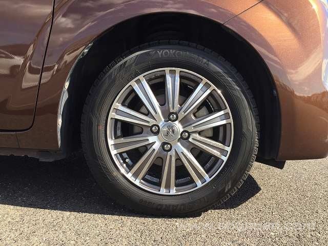 31.jpg