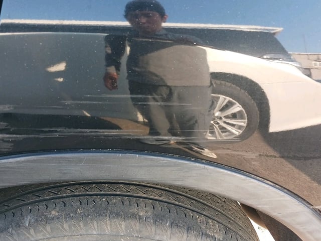 281.jpg
