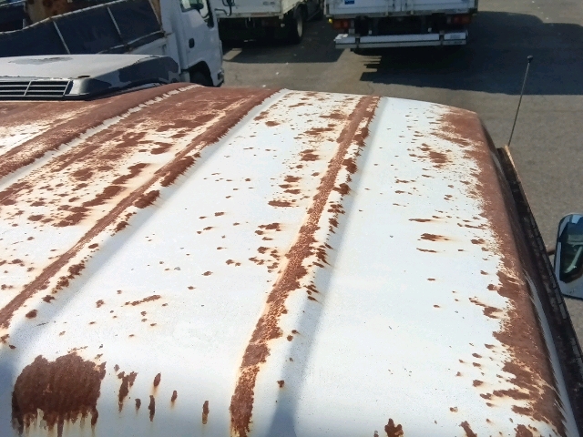 281.jpg