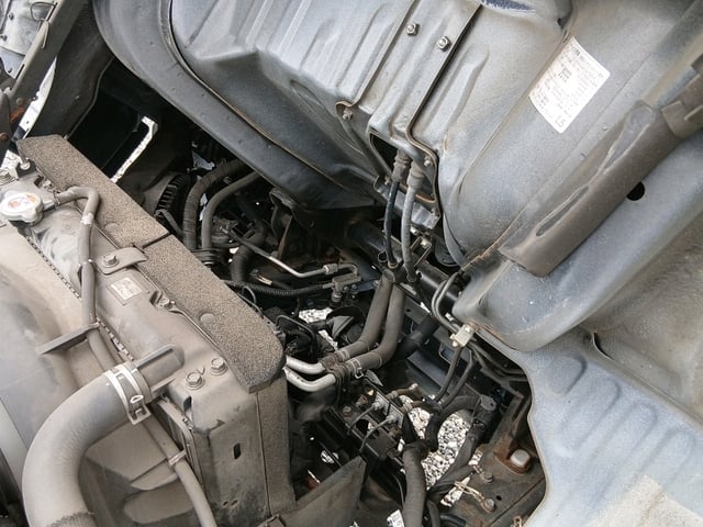 310.jpg