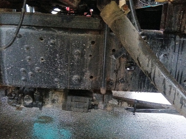 295.jpg