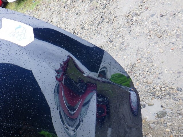 280.jpg