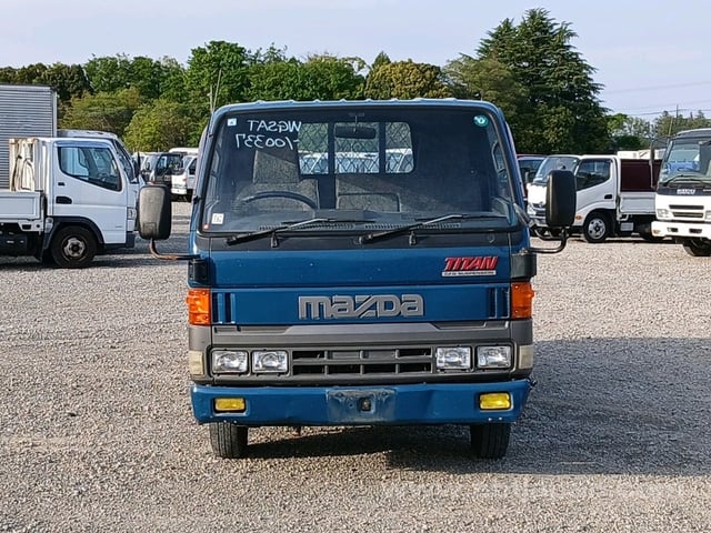 41.jpg