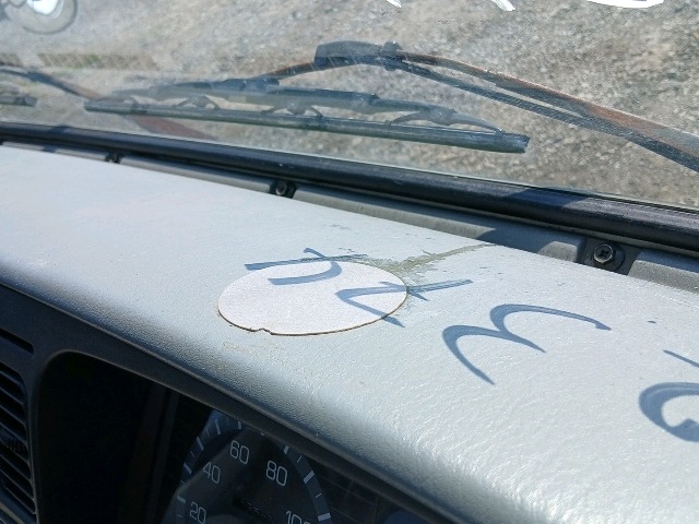 282.jpg
