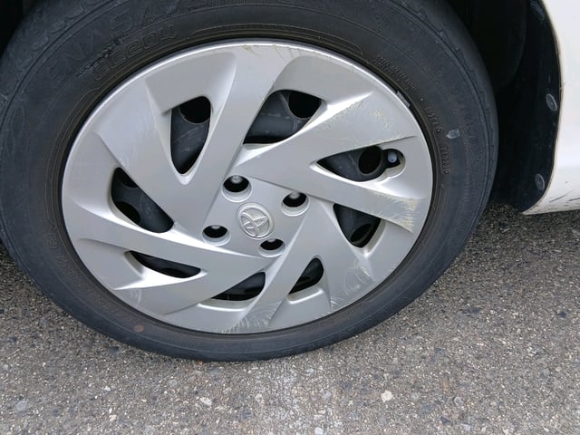 295.jpg