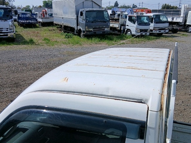 290.jpg