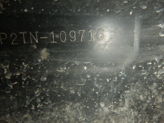 281.jpg