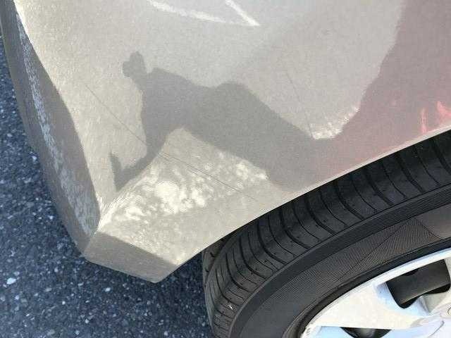 281.jpg