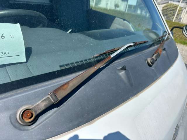287.jpg