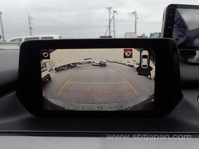 19.jpg