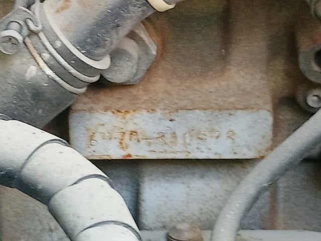 304.jpg