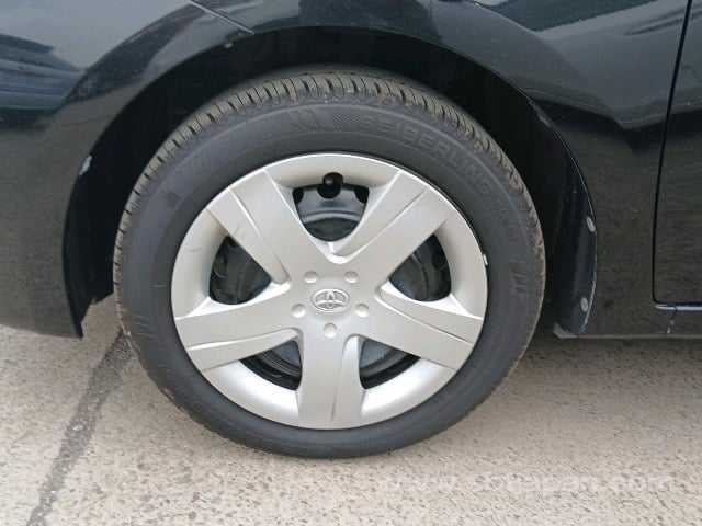 12.jpg