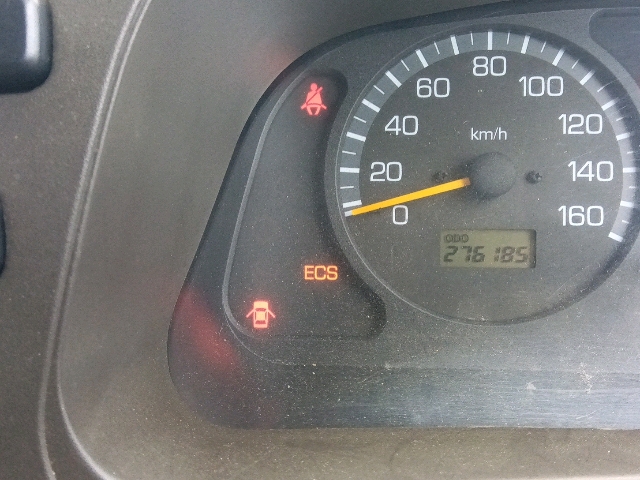 299.jpg