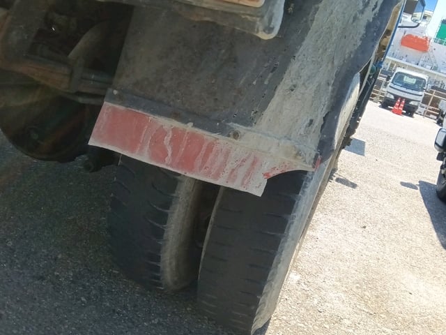 295.jpg