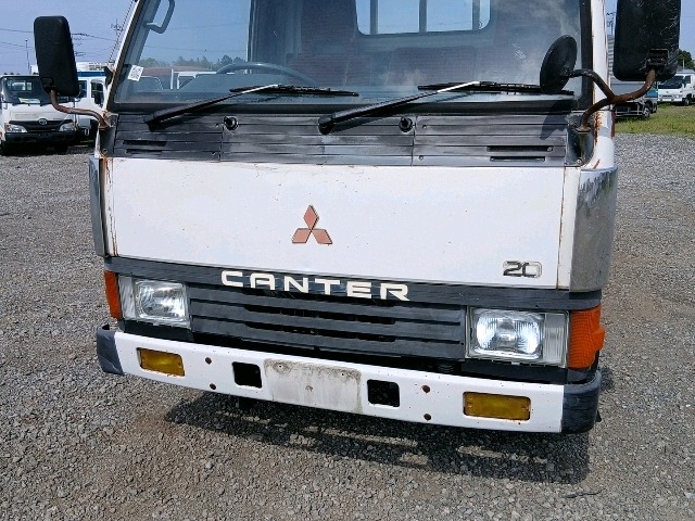 294.jpg