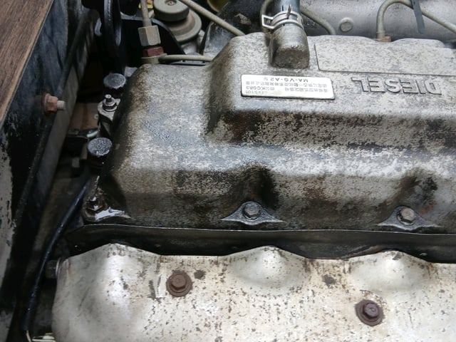 296.jpg