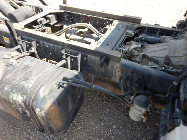291.jpg