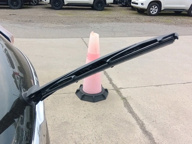 280.jpg