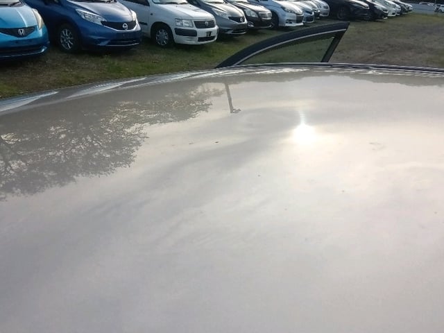 283.jpg